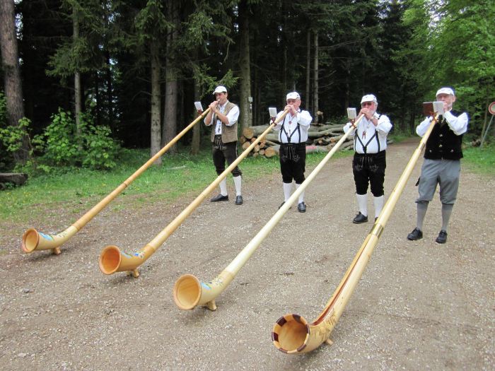 Description: V:\webalphorn\galerie\1mai11\bigimg_Alphorn-Jungingen 01.05.2011 003.jpg