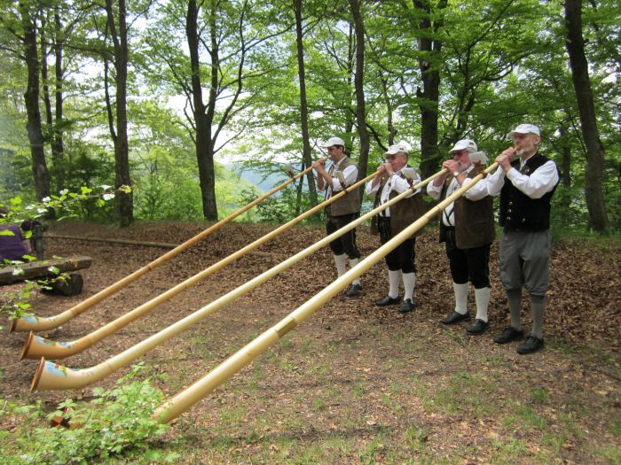 Description: Description: V:\webalphorn\galerie\1mai11\bigimg_Alphorn-Jungingen 01.05.2011 005.jpg