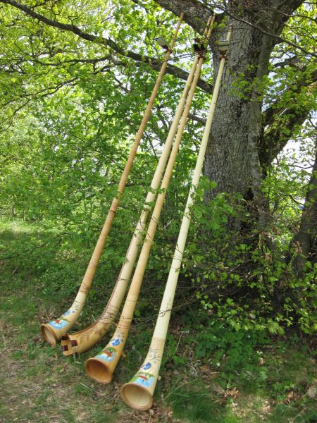 Description: Description: V:\webalphorn\galerie\1mai11\bigimg_Alphorn-Jungingen 01.05.2011 007.jpg
