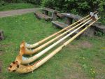 Description: V:\webalphorn\galerie\1mai11\thumb_Alphorn-Jungingen 01.05.2011 002.jpg
