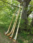 Description: V:\webalphorn\galerie\1mai11\thumb_Alphorn-Jungingen 01.05.2011 007.jpg